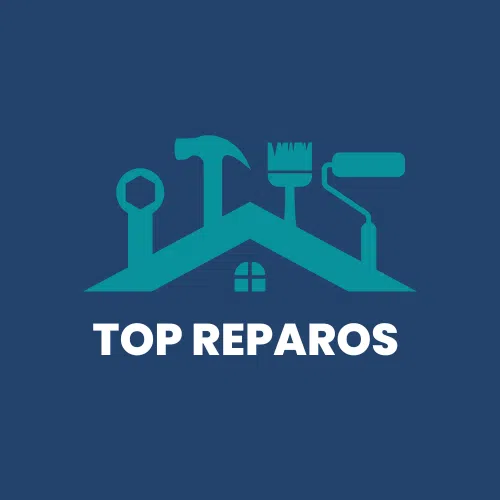 Identidade Visual Logo TOP Reparos por LSP Mídia